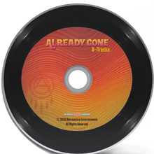 Load image into Gallery viewer, 8-Tracks CD